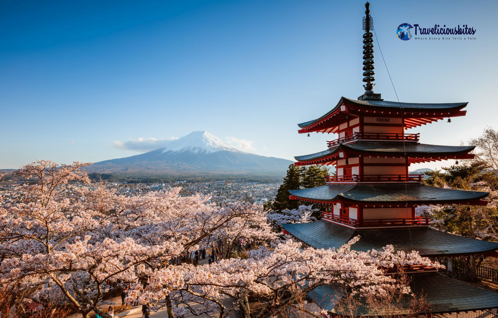 Solo Trip to Japan: A Journey of Freedom, Culture, and Self-Discovery