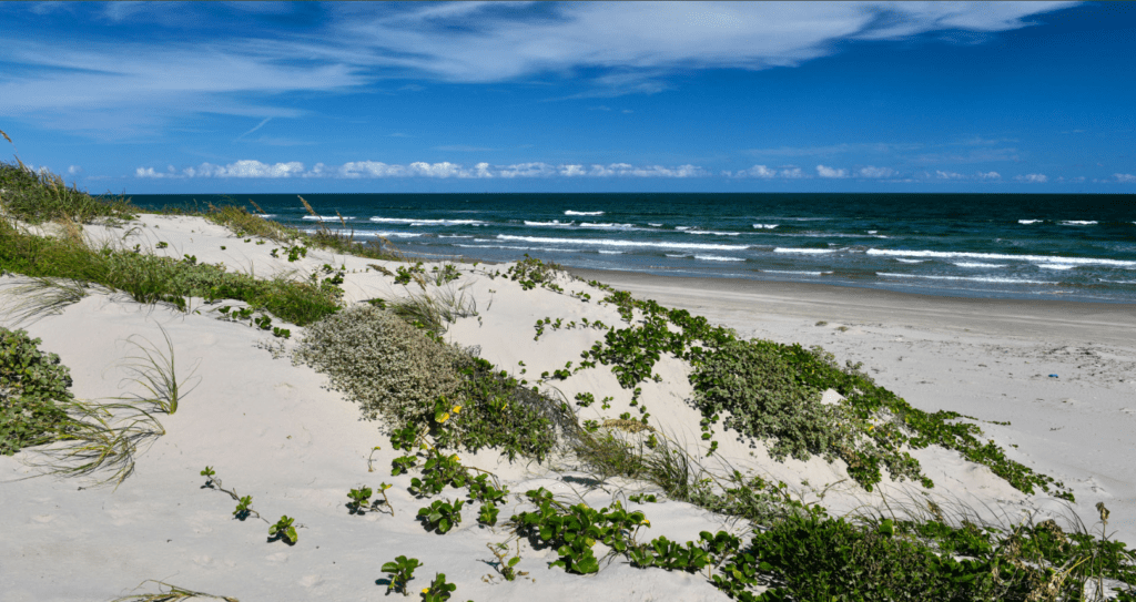 beaches in Texas