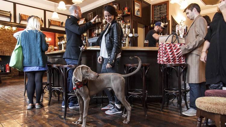 Best Pubs in London