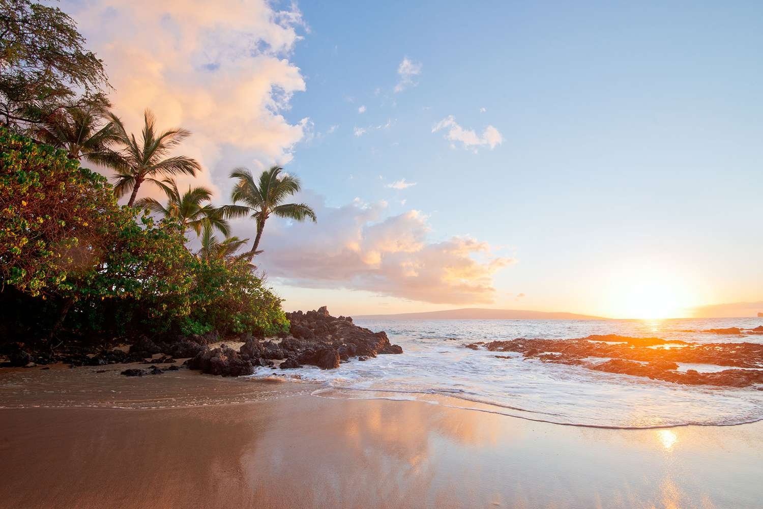 Discover 10 Tropical Places In The US