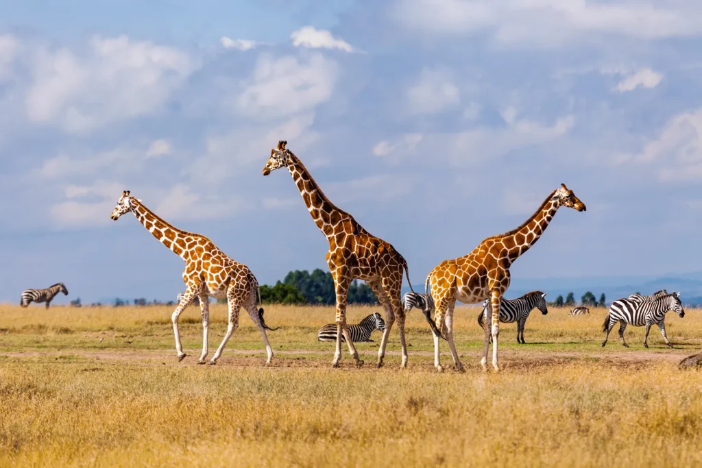 hot places to travel in February