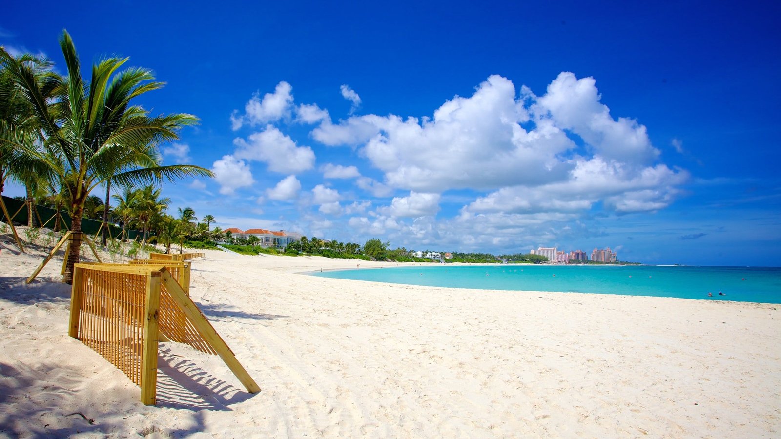 Cabbage Beach's Ultimate Guide 2025 - Paradise Awaits!