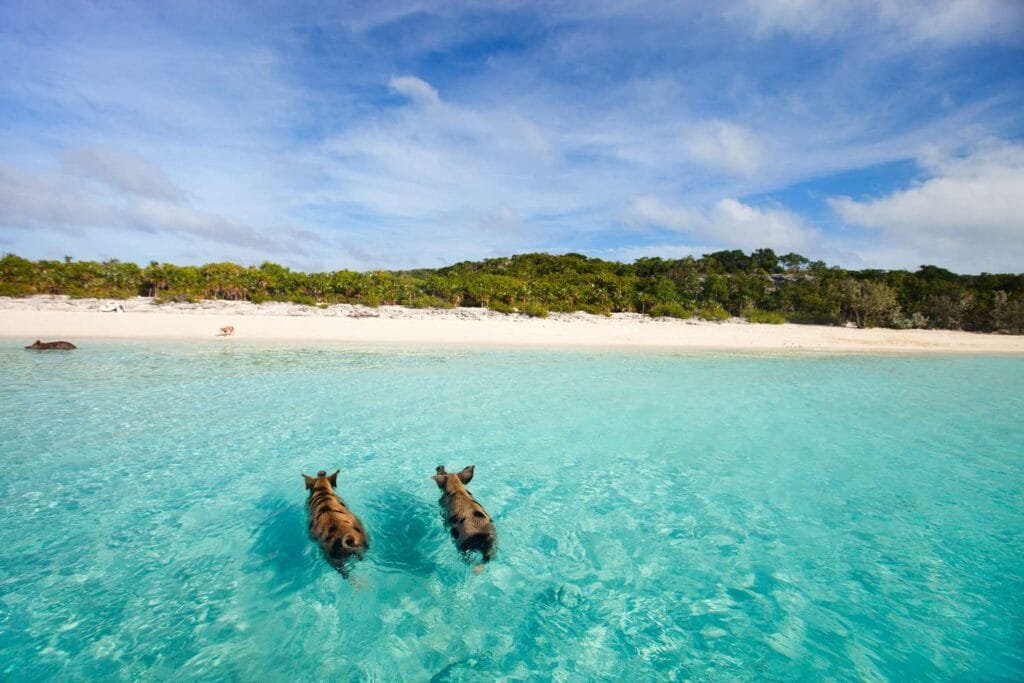 Nassau Bahamas Cabbage Beach