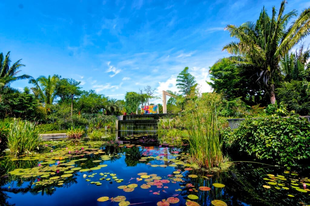 things to do in Naples Florida