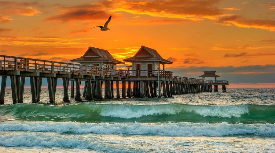 things to do in Naples Florida