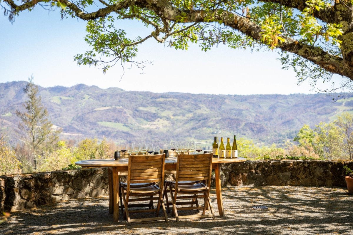 These Are The Best Wineries in Barcelona Spain - Sip in Style in 2026!
