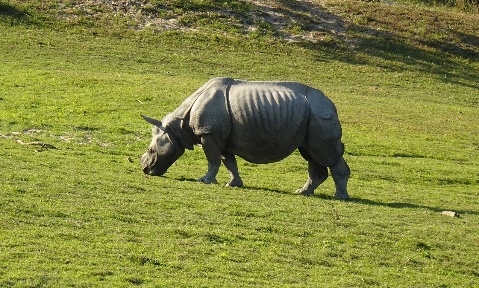 Bookmark These 11 Assam Hidden Gems – From Haflong Hills to Majuli Island
