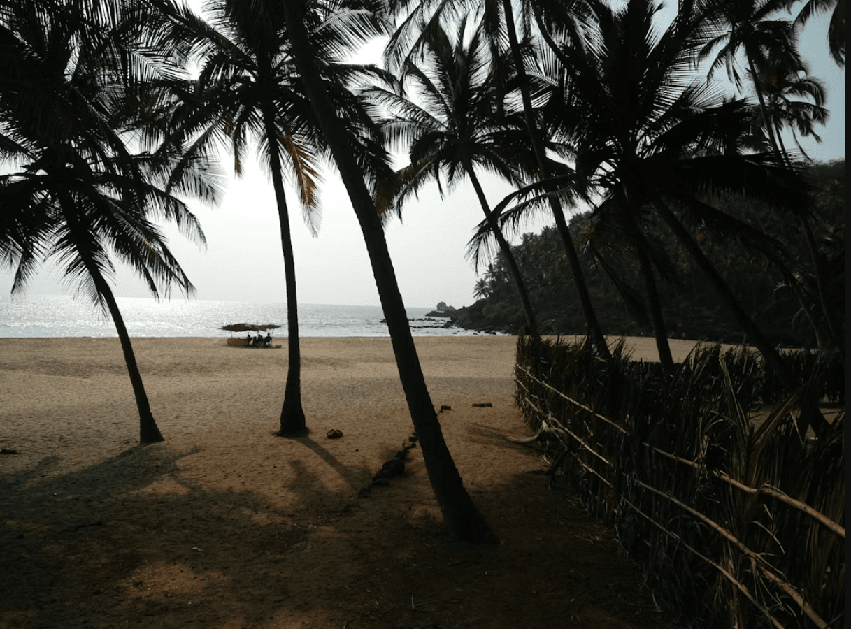 How Many Beaches Are in Goa? A Beach Lover's Complete Guide