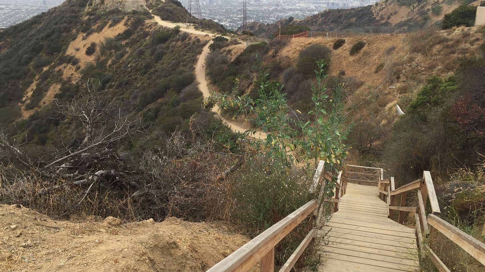 Hiking Runyon Canyon: Complete Trail Guide, Routes, Views, Safety & Local Tips