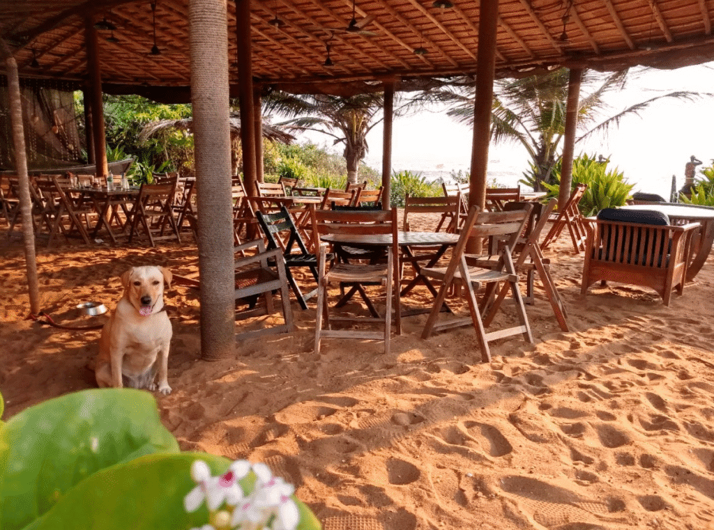 beachfront restaurant