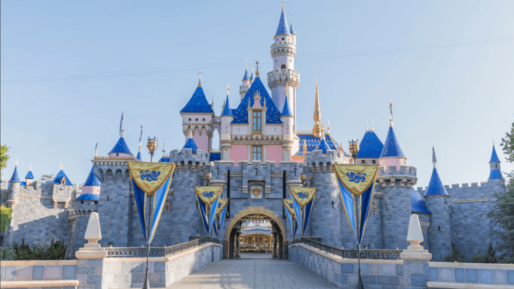amusement park themes