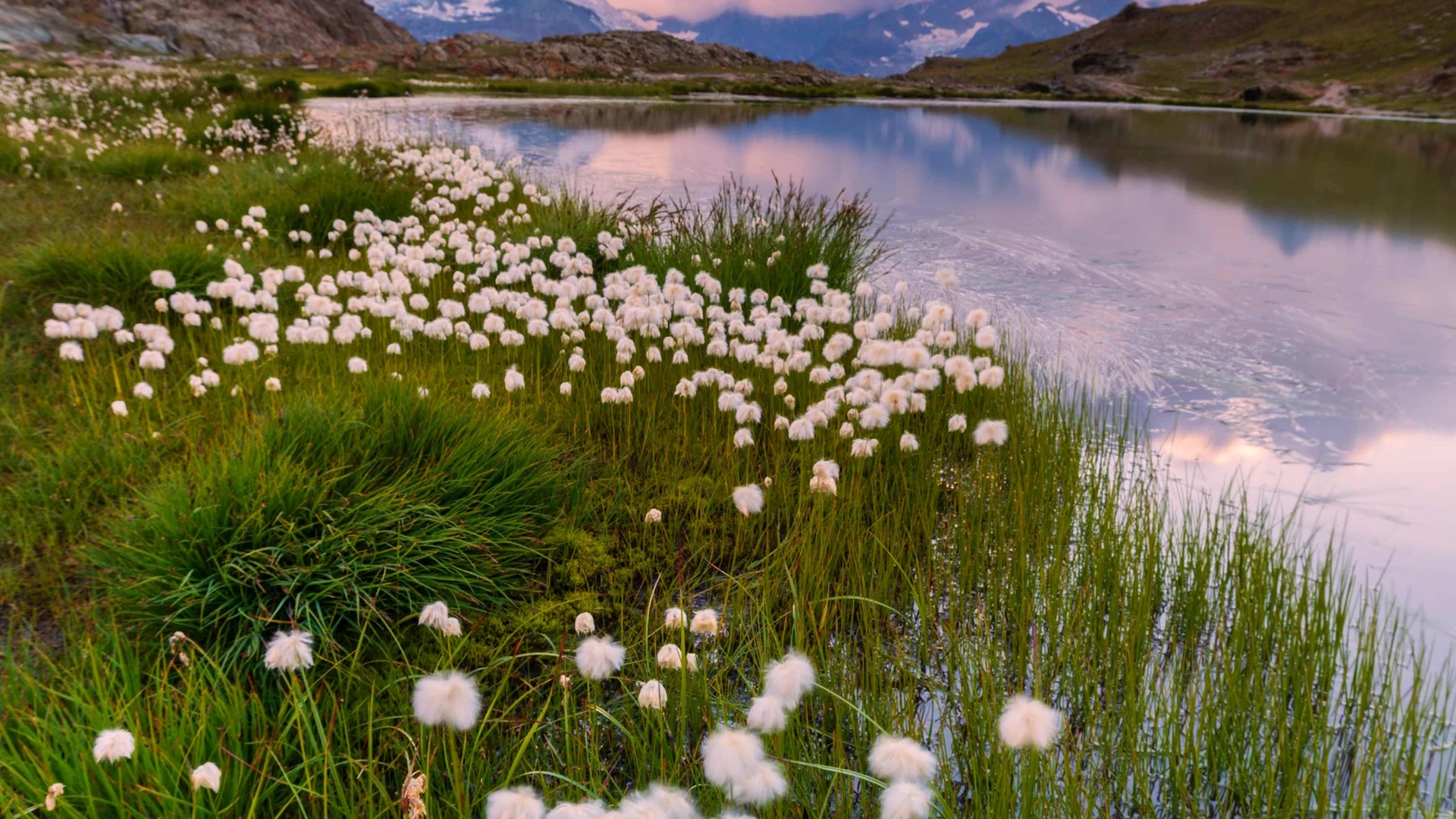 Loop Spring 2026: Switzerland, Germany & Austria Forge Madeira's Luxury Travel Future