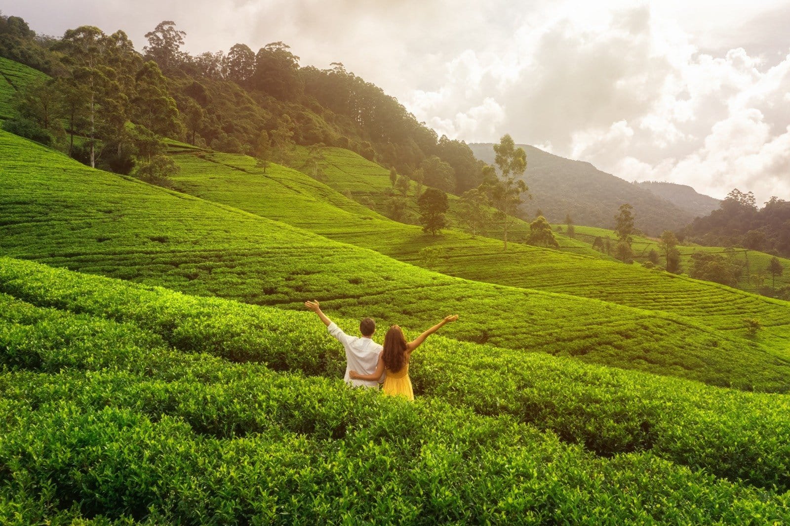 8 Romantic Hill Stations in India for Couples Seeking Peace, Views & Privacy