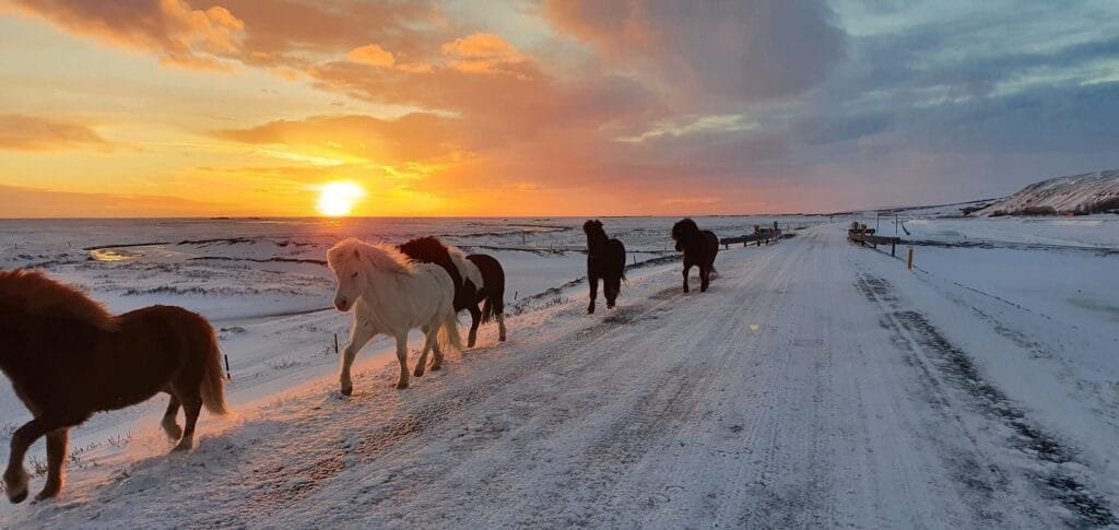 best time to visit Iceland