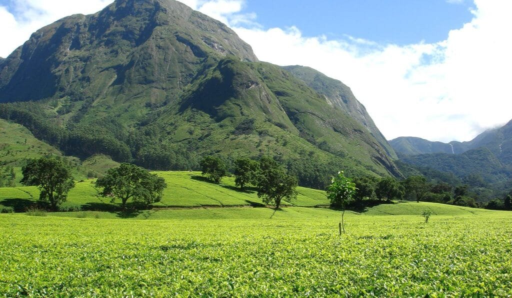 Nilgiri Hils