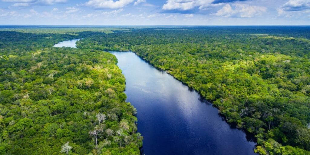 Amazon Rainforest