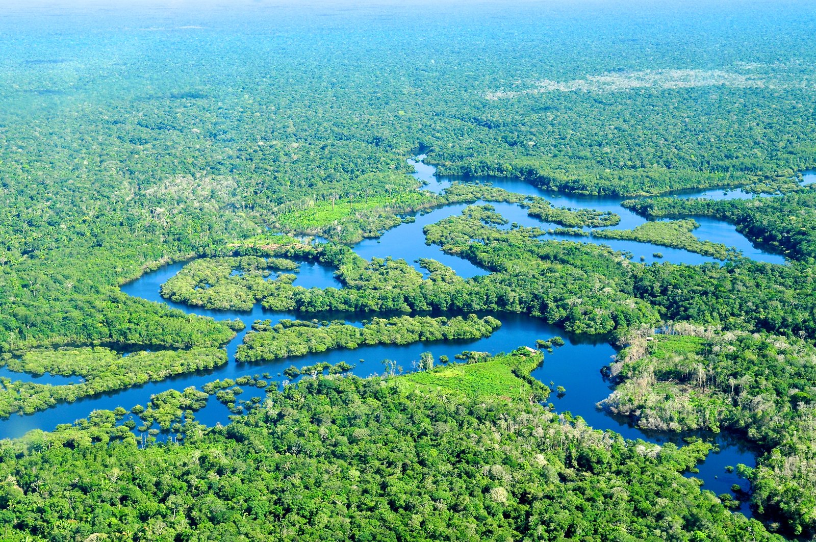 Facts About the Amazon Rainforest: Secrets of the South America Rain Forest
