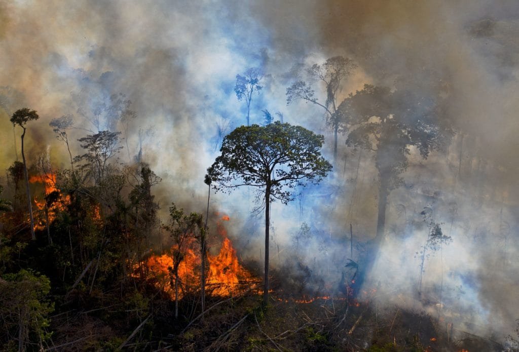 Rapid Deforestation