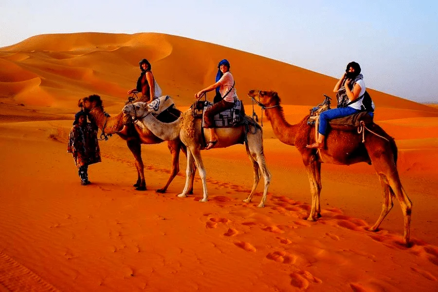 Camel Trekking Across the Dunes