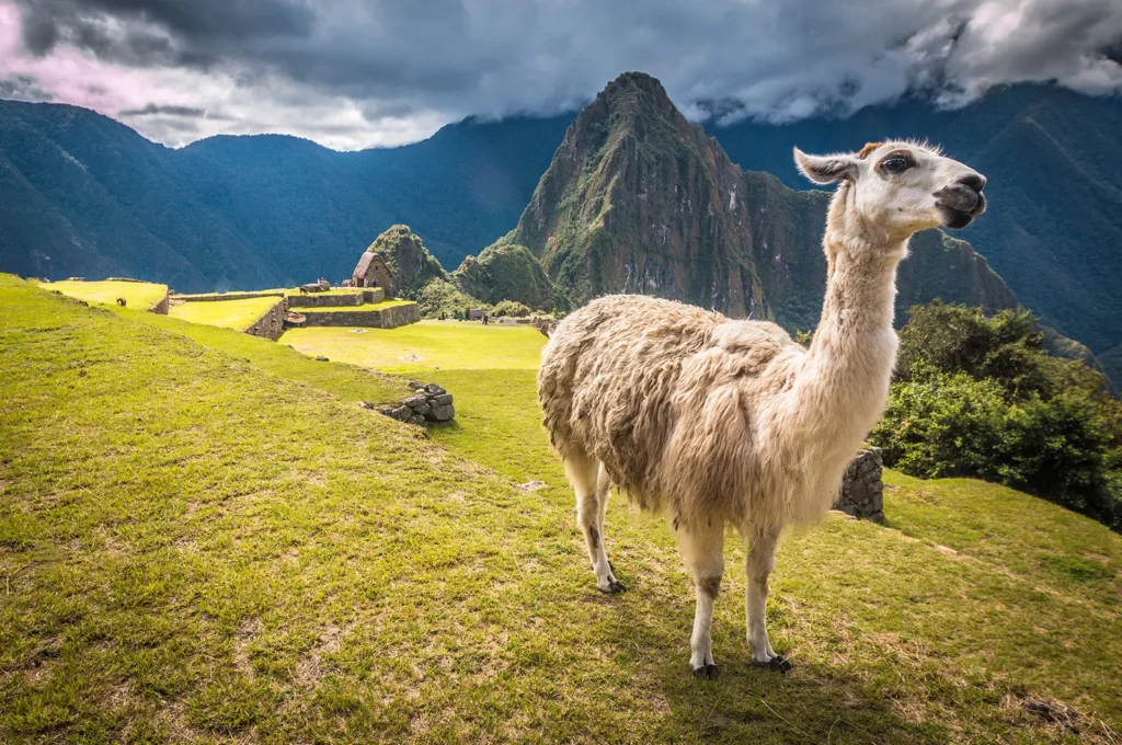 best South American countries to visit