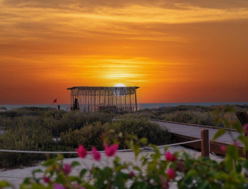 Saadiyat Beach