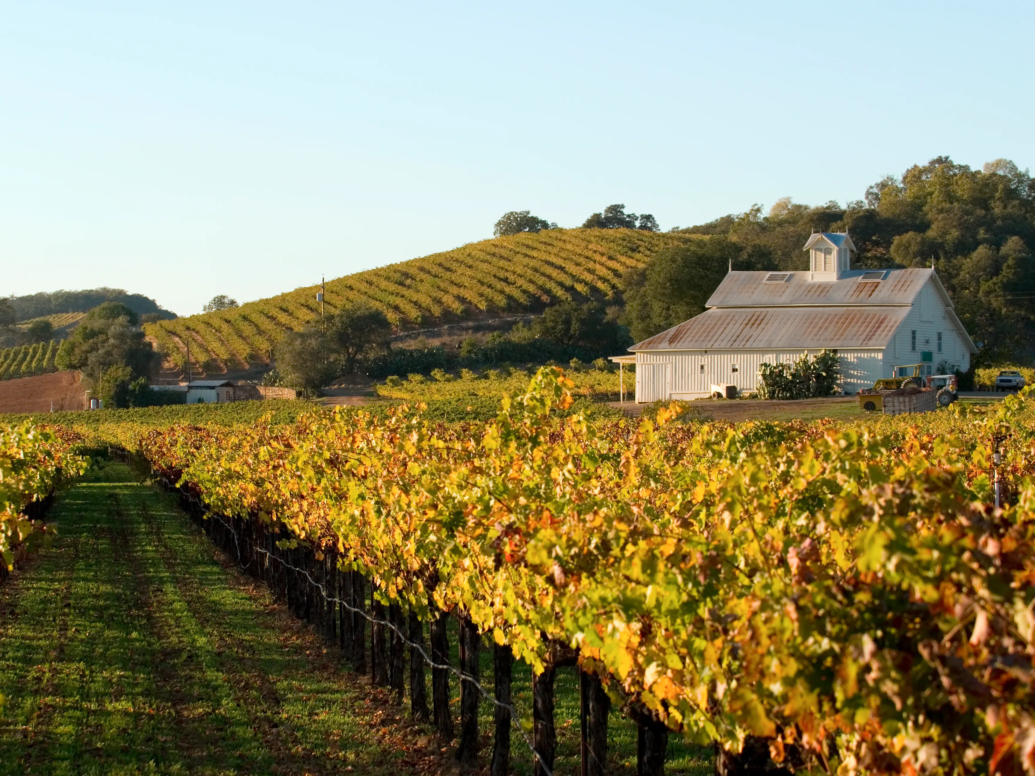 California Napa Valley Wine Guide: Best Vineyards, Tastings & Tours