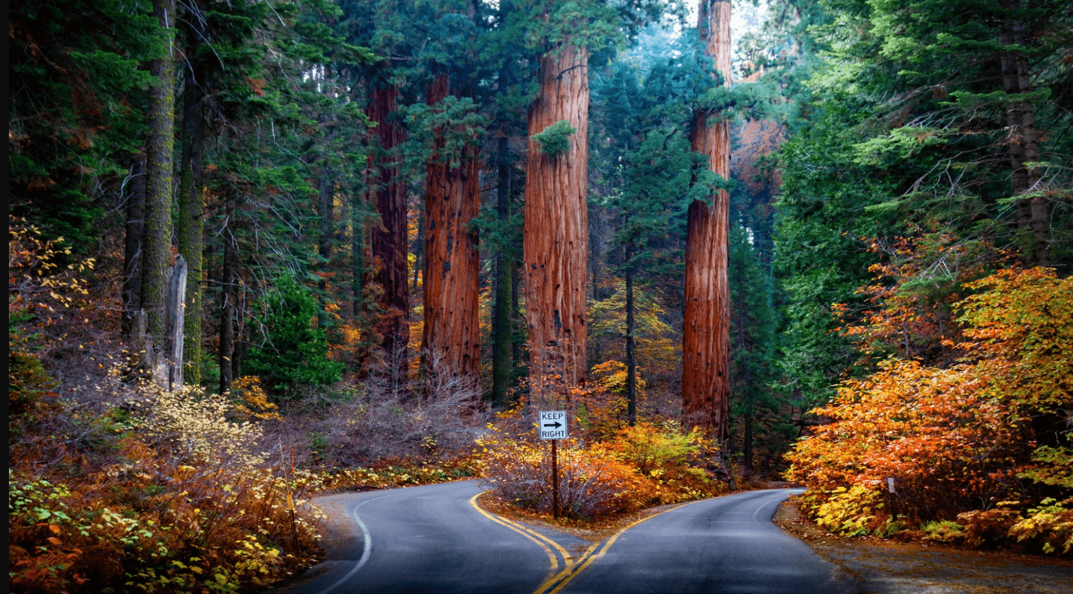 Best Month to Visit California: Complete Travel & Weather Guide