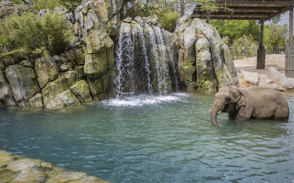 fort worth zoo