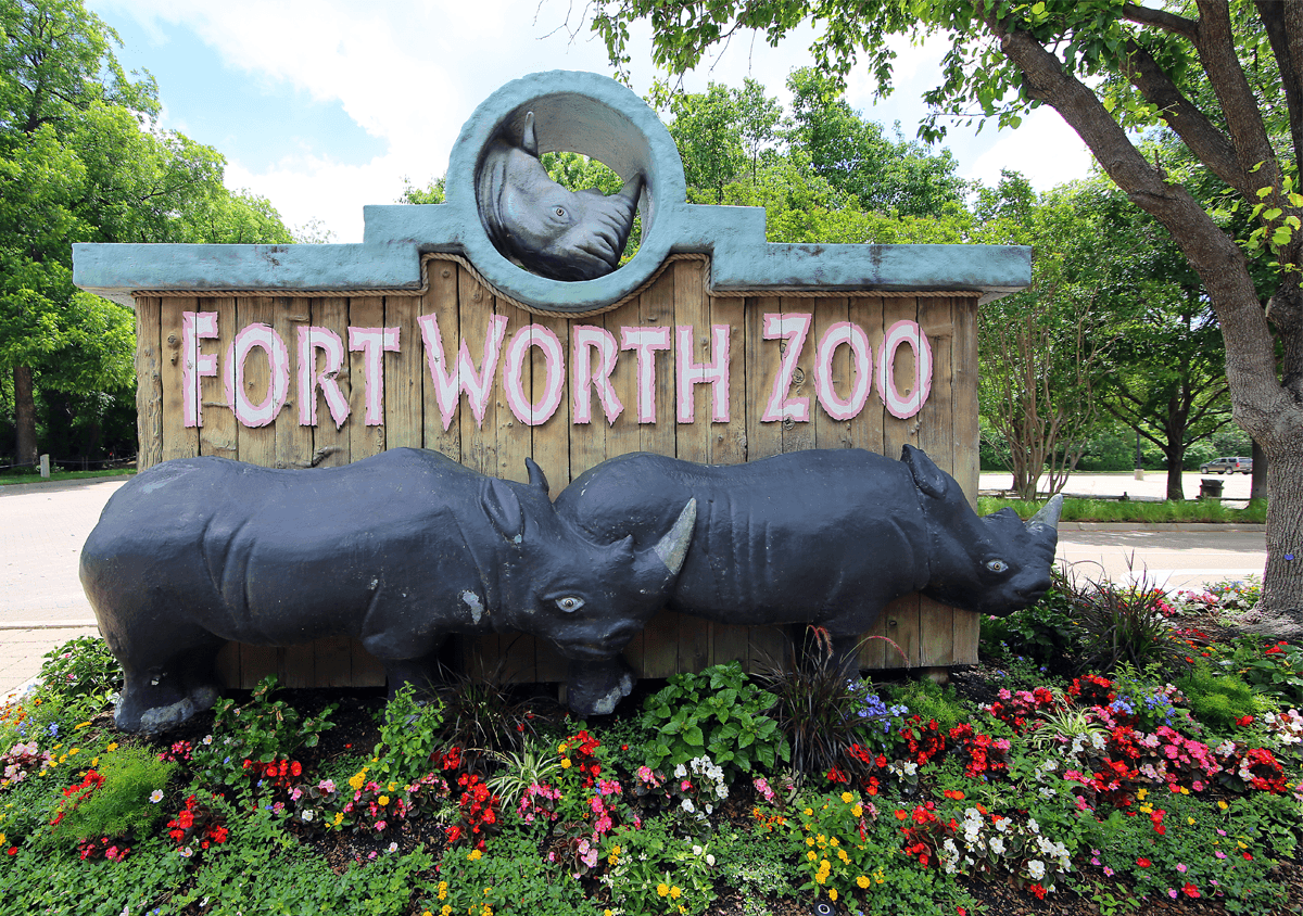 Best Things to Do in Fort Worth Texas for an Unforgettable Trip