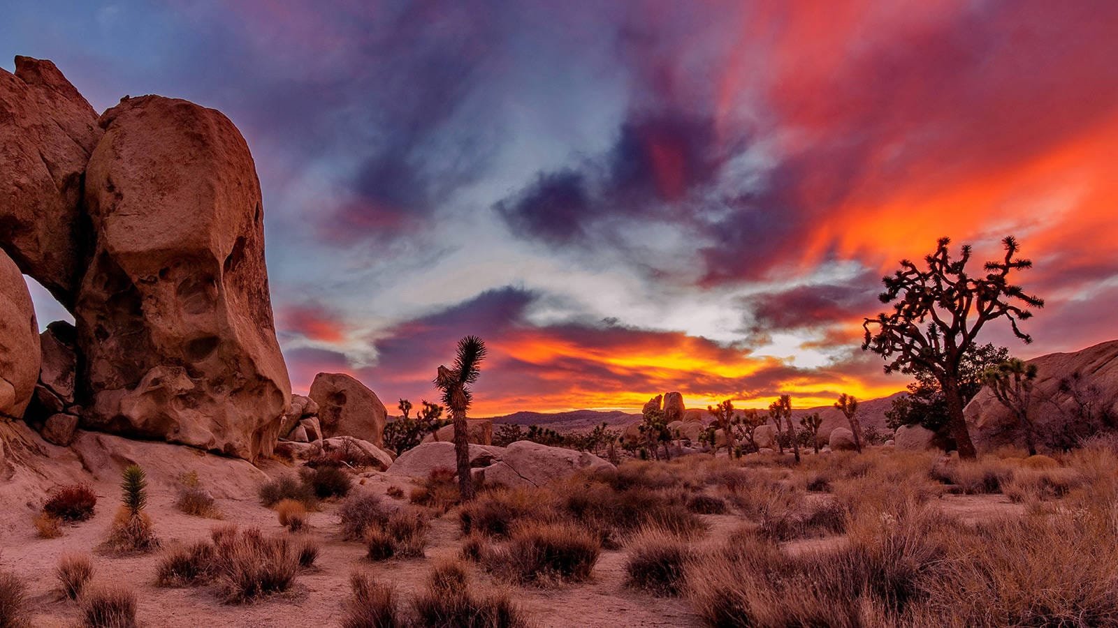 10 Best Nature Places to Visit in California (Scenic Travel Guide 2026)