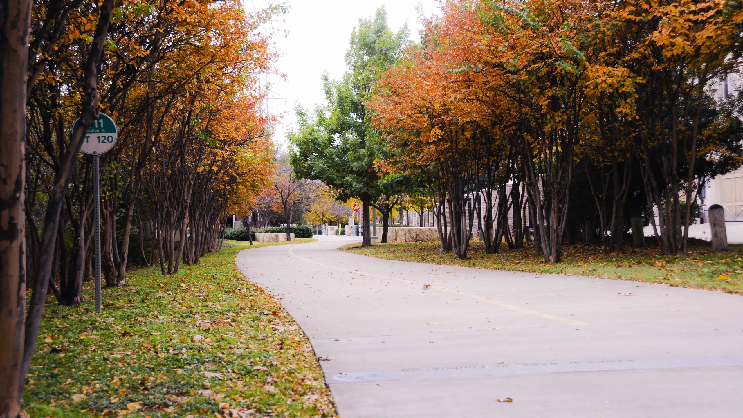 Fun Parks in Dallas Texas | Best Parks in Dallas & Parques en Dallas Guide