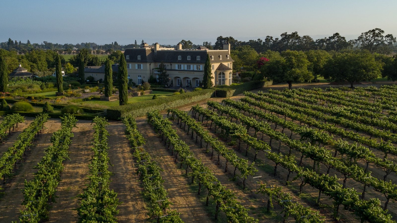 10 Famous Vineyards & Top Wineries in California (2026 Guide)