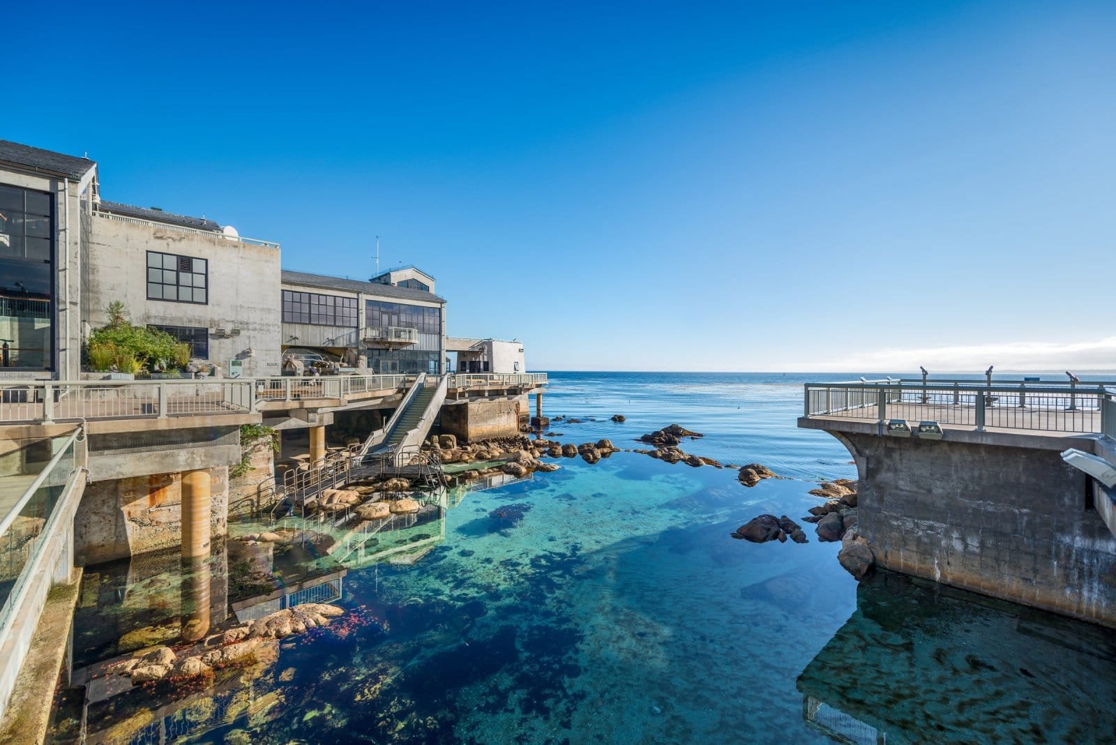 Biggest Aquarium in California and Top Public Aquariums in California to Visit