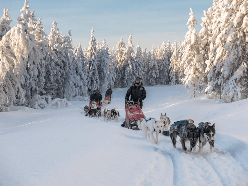 Swedish Lapland