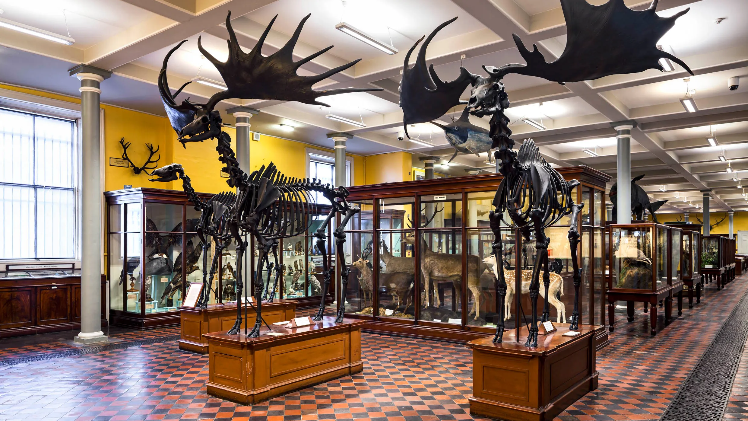 Top Things to Do in Dublin – 12 Fun and Unforgettable Experiences