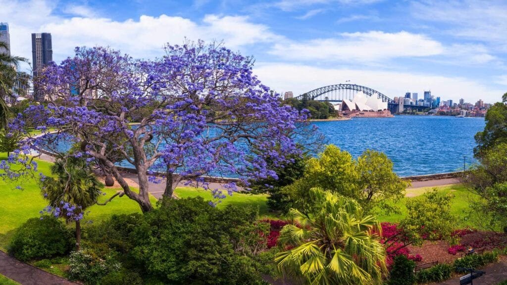 Royal Botanic Garden Sydney