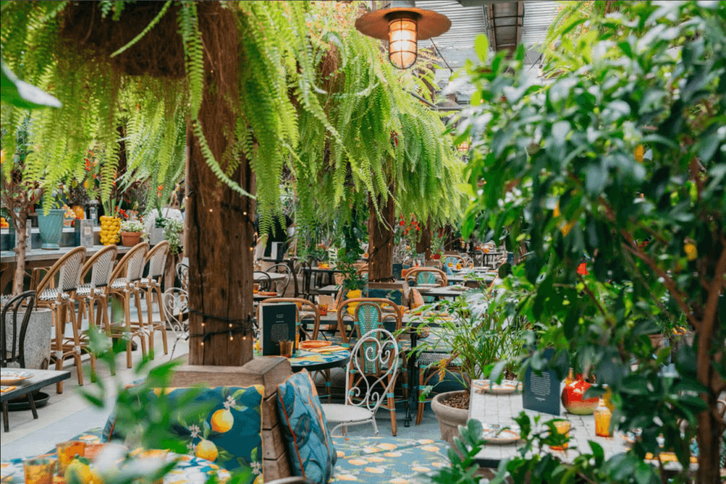 The Grounds of Alexandria