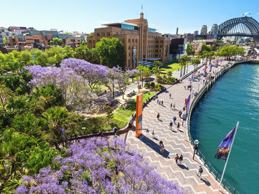 sydney the rocks